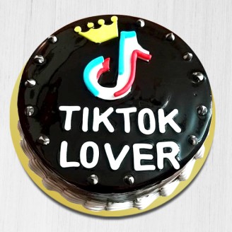 Chocolate Cake For TikTok  Lover